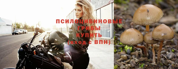 меф VHQ Богданович