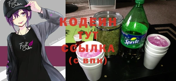 ГАЛЛЮЦИНОГЕННЫЕ ГРИБЫ Балахна