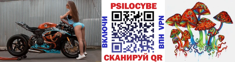дарк нет наркотические препараты  Вельск  Псилоцибиновые грибы ЛСД 